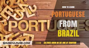 Master Brazilian Portuguese: Essential Tips for Effective Language Learning