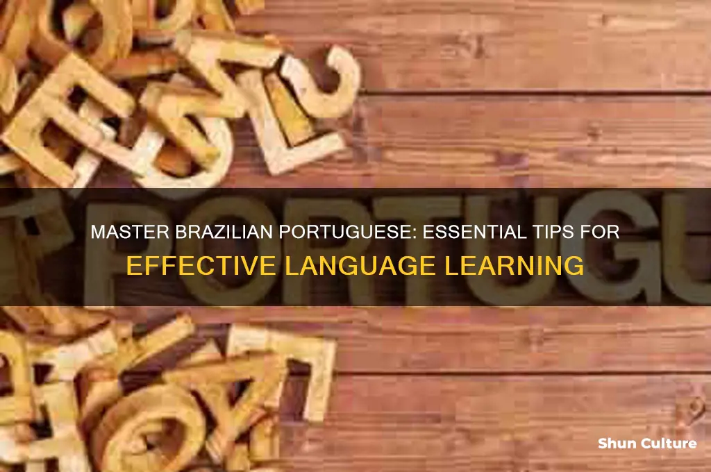 how to learn portuguese from brazil