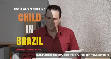 Estate Planning in Brazil: How to Leave Property to Your Child