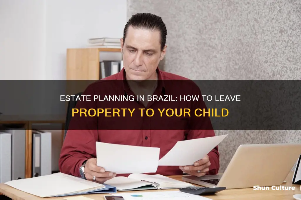 how to leave property to a child in brazil