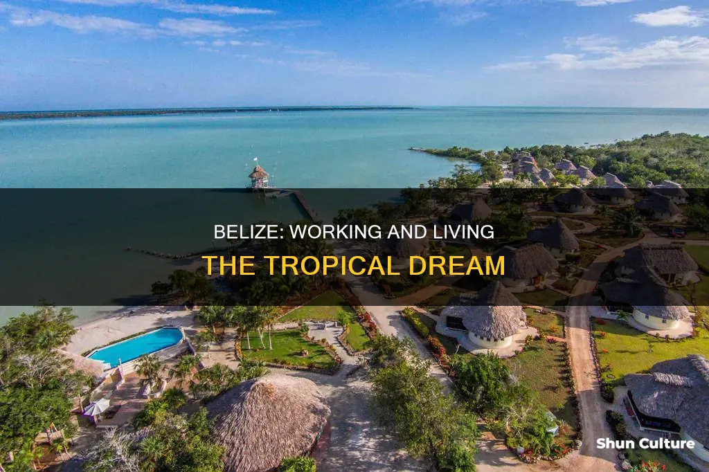 how to live and work in belize