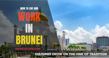 Living and Working in Brunei: A Comprehensive Guide