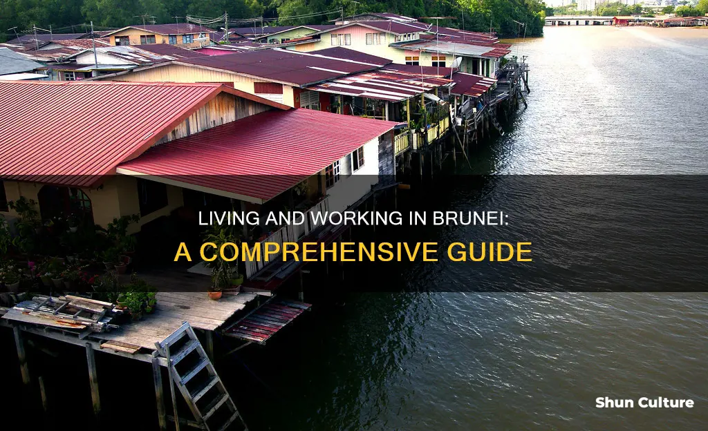 how to live and work in brunei