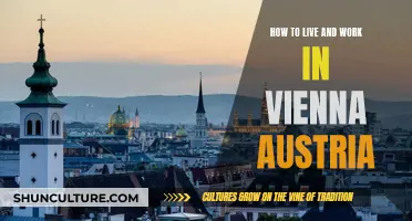 Uncover Vienna's Secrets: Your Guide to Living & Working in Austria