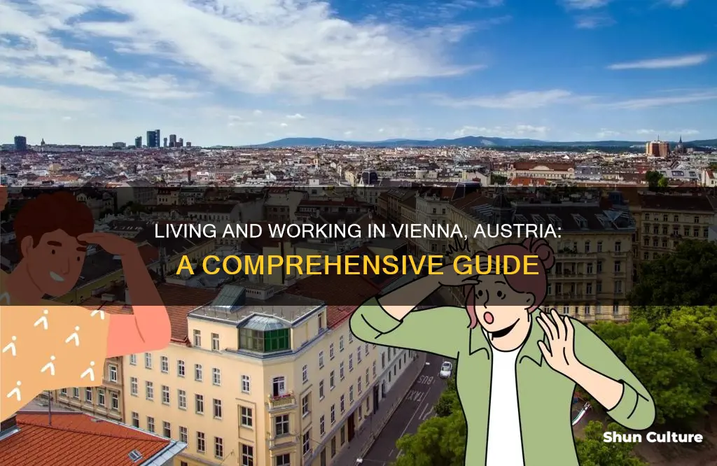 how to live and work in vienna austria