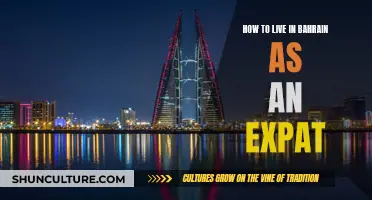 A Guide to Living in Bahrain as an Expat