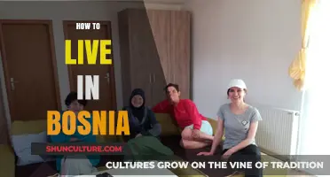 Discover Bosnia: Essential Tips for Living and Thriving in This Hidden Gem