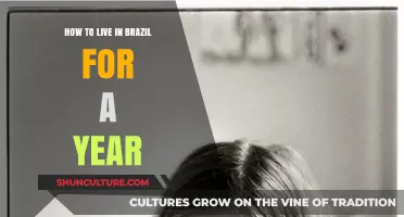 Mastering Life in Brazil: A Year-Long Adventure Guide
