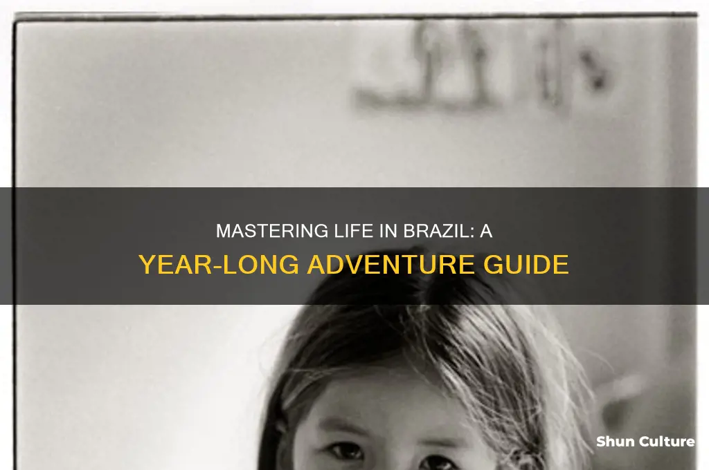 how to live in brazil for a year