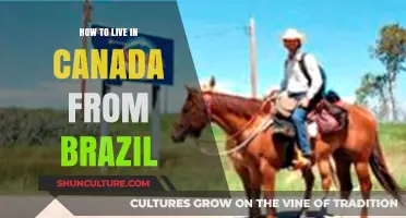 Moving to Canada from Brazil: Essential Steps for a Smooth Transition