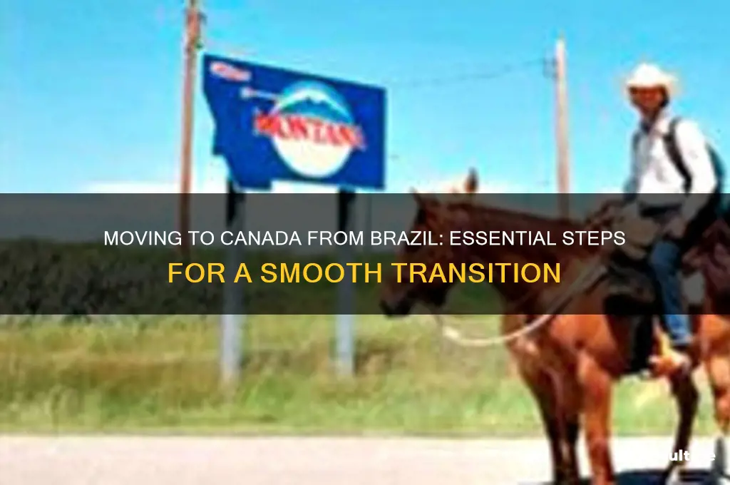 how to live in canada from brazil