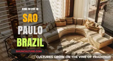 Surviving and Thriving: Your Ultimate Guide to Living in São Paulo