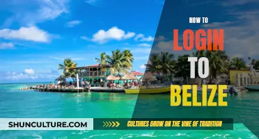 Logging into Belize: A Step-by-Step Guide