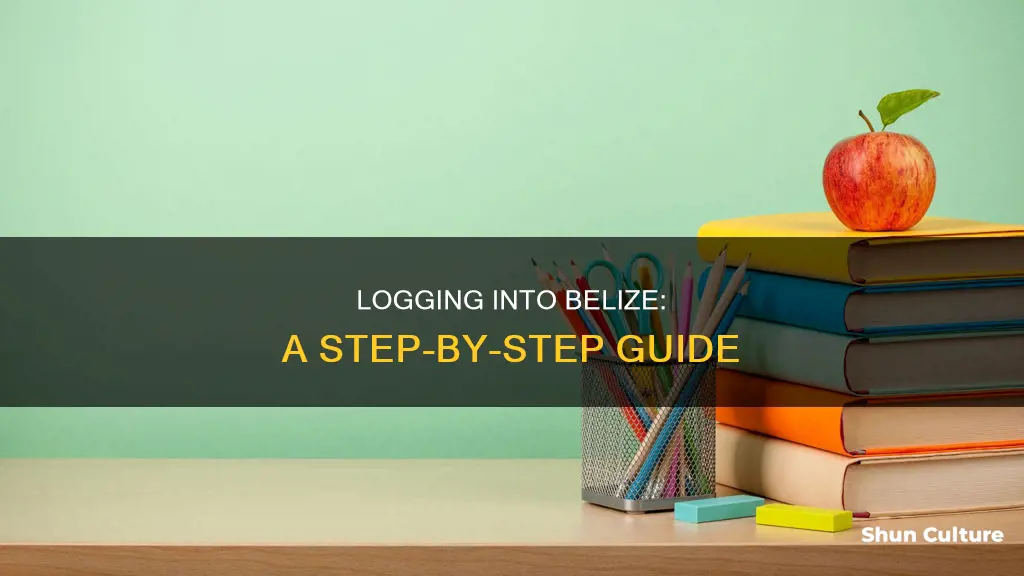 how to login to belize