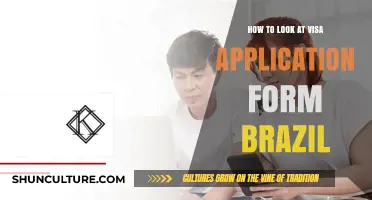 Mastering Your Brazil Visa Application: A Step-by-Step Form Guide