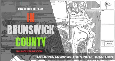 Brunswick County: Lookup Plats Made Easy