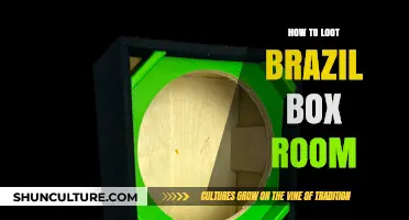 Mastering the Art of Looting Brazil's Box Room Treasures