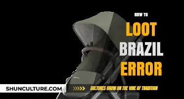 Understanding and Fixing the 'How to Loot Brazil' Error: A Guide