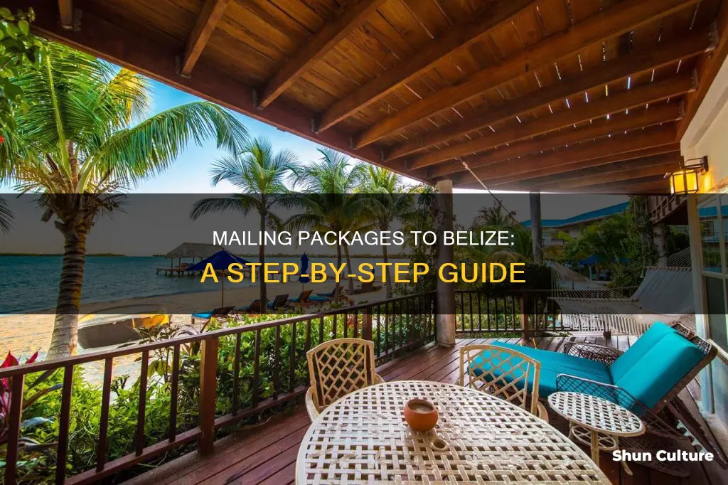 how to mail a package to belize