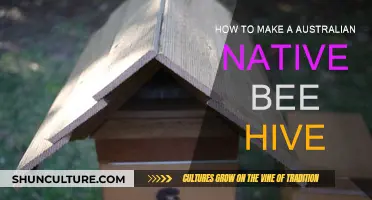 Creating an Australian Native Bee Hive: A Guide