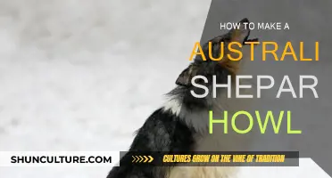 Teach Your Aussie to Howl: Tips and Tricks