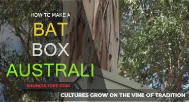 Build a Bat Box: Australian Style