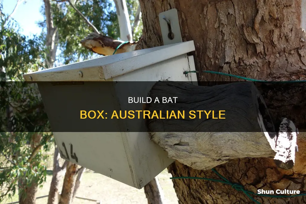 how to make a bat box australia