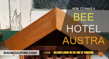 Creating a Bee Hotel: An Australian Guide