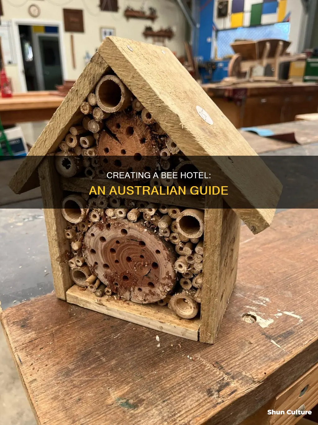 how to make a bee hotel australia