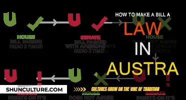 Understanding Australia's Lawmaking Process