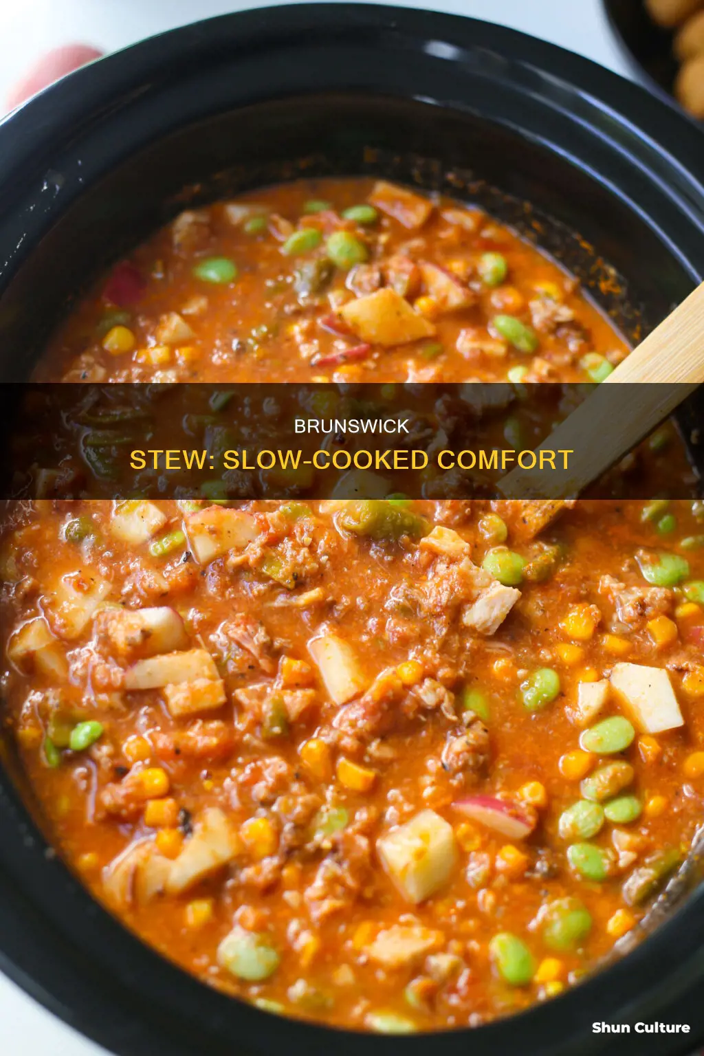 how to make a brunswick stew croc pot