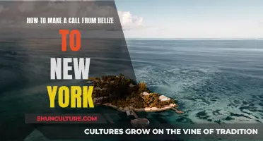 Making Calls from Belize to New York: A Guide