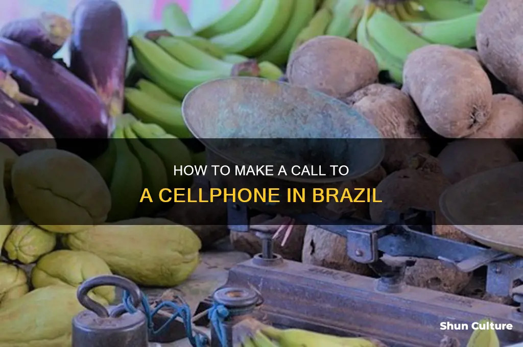 how to make a call to a cellphone in brazil