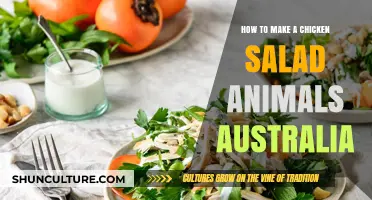 Chicken Salad: An Australian Twist