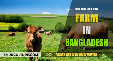 Starting a Profitable Cow Farm in Bangladesh: A Step-by-Step Guide