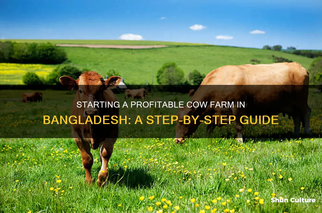 how to make a cow farm in bangladesh