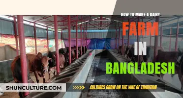 Starting a Profitable Dairy Farm in Bangladesh: A Comprehensive Guide