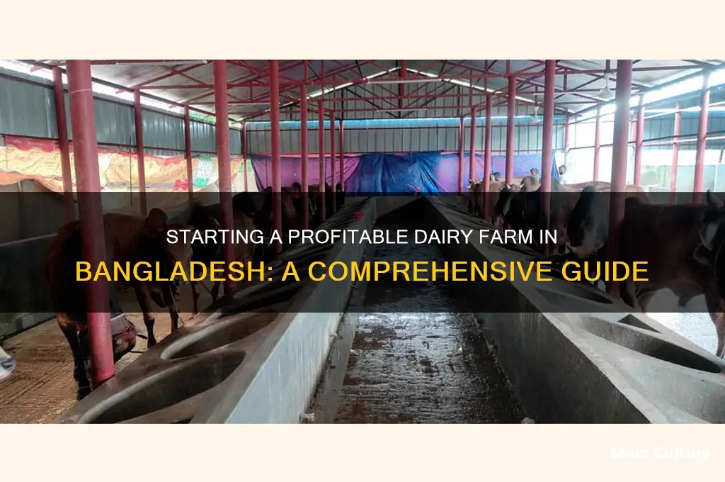 how to make a dairy farm in bangladesh