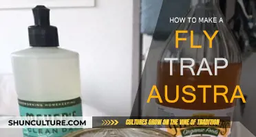 Make Your Own Fly Trap: Australian Style