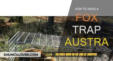 Creating a Fox Trap in Australia: A Step-by-Step Guide