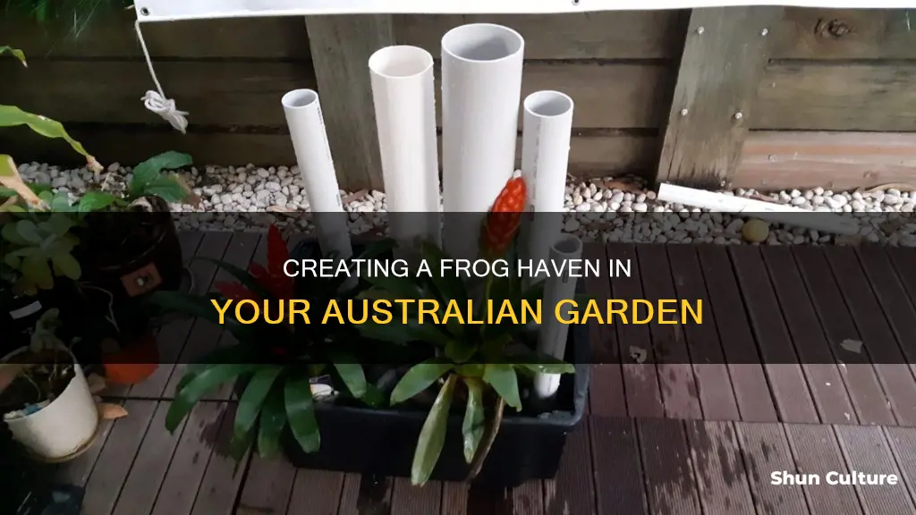 how to make a frog hotel australia