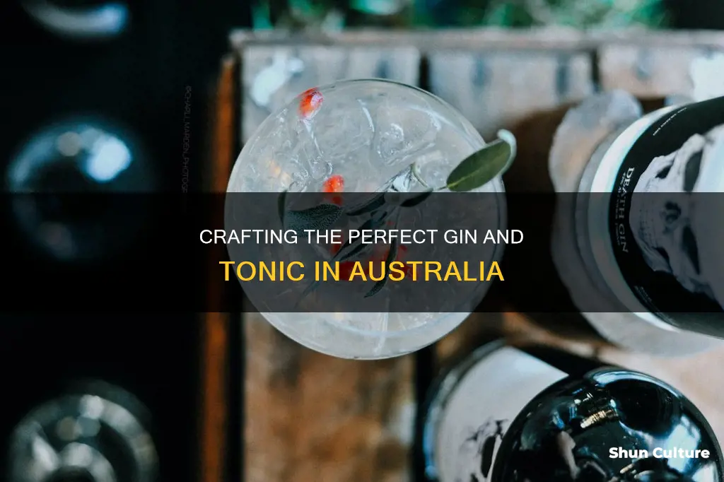 how to make a gin and tonic australia