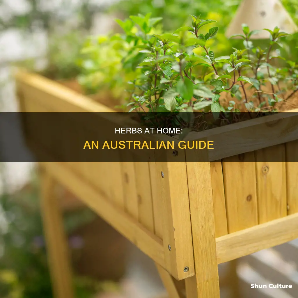 how to make a herb garden australia