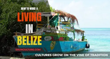 Living and Thriving in Belize: A Guide