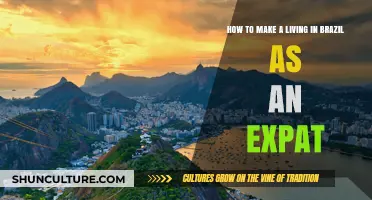 Expat Guide: Earning a Sustainable Income in Brazil's Vibrant Economy