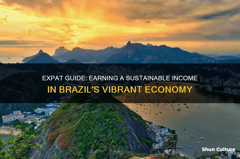 how to make a living in brazil as an expat