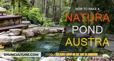 Creating a Natural Pond in Your Australian Garden