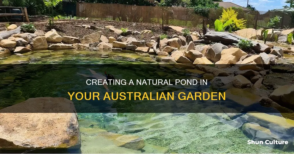 how to make a natural pond australia