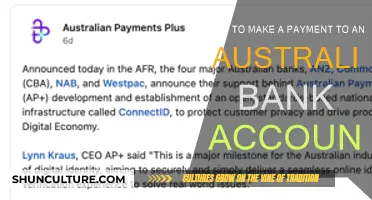 Transferring Money: Australian Bank Accounts Simplified