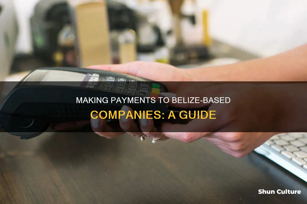 how to make a payment to belize based company